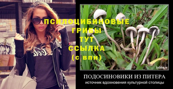 дживик Заволжск