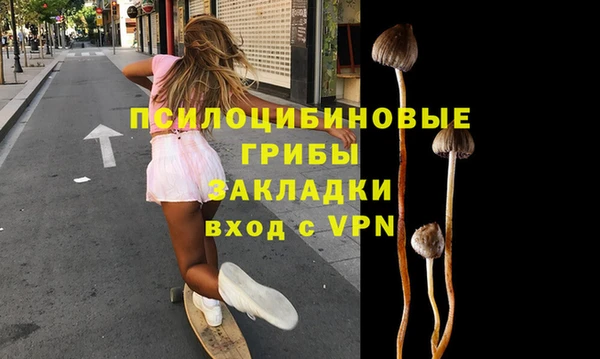 стафф Заволжье