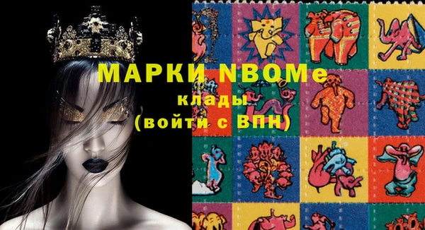 стафф Заволжье