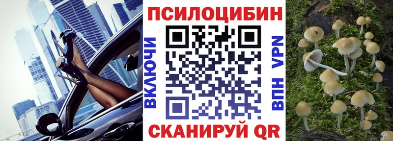 Купить где  Ефремов  Псилоцибиновые грибы Magic Shrooms 